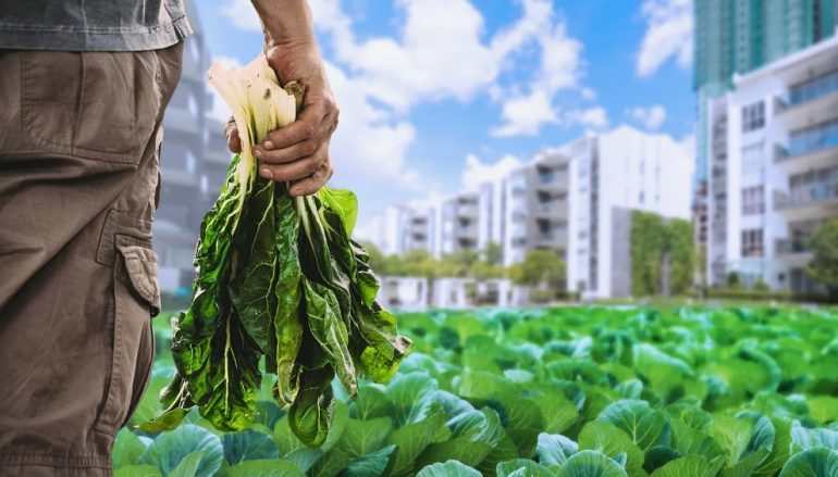 The Future of Agricultural Loans in Sustainable Farmin